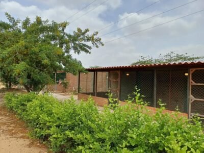 LOTE EN VENTA DETRAS DE UNIGUAJIRA