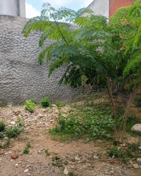 SE VENDE CASA EN SAN JUDAS